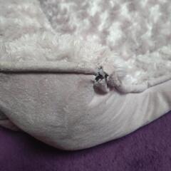 値下げ☆ペットベッドの画像