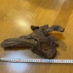 流木
