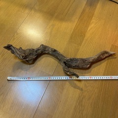 流木