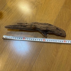 流木