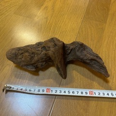 流木