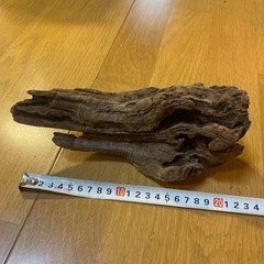 流木