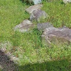 お庭除草作業