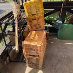 引取限定　古い収穫コンテナ差し上げます