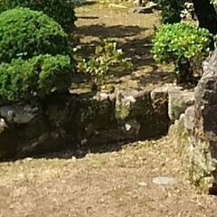 庭石（花崗岩）さしあげます
