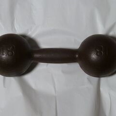鉄アレイ　約８kg