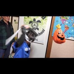 ハロウィンパーティーしましたの画像