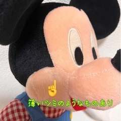 ミッキー、ミニーぬいぐるみペア
の画像