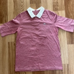 LACOSTE LIVE レディース Tシャツ Mサイズ