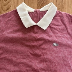 LACOSTE LIVE レディース Tシャツ Mサイズの画像