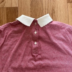 LACOSTE LIVE レディース Tシャツ Mサイズの画像