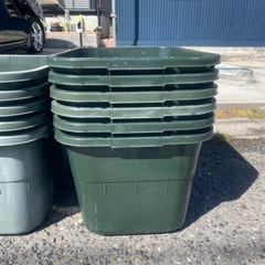 メダカ容器　メダカ　まとめての画像