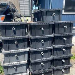 メダカ容器　メダカ　まとめての画像