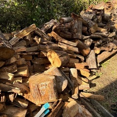 廃材　薪　取り放題1回1000円の画像