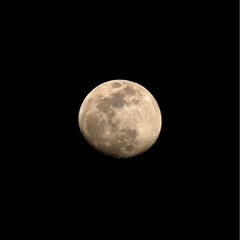 【値下げ】タムロン　TAMRON Eマウント　18-300mm F/3.5-6.3 Di III-A VC VXD の画像