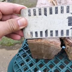 広葉樹ケヤキの薪！長さ29㎝。軽トラ1台価格。茨城県潮来市。の画像