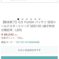 ディープサイクルバッテリー　GSユアサ　シールドスターSEB100 2台の画像