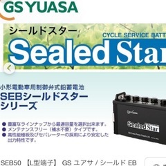 ディープサイクルバッテリー　GSユアサ　シールドスターSEB100 2台の画像