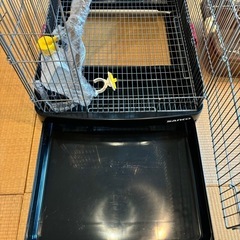 モモンガ小動物ケージ
の画像