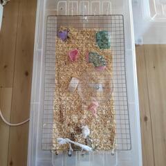 ハムスター飼育ゲージの画像