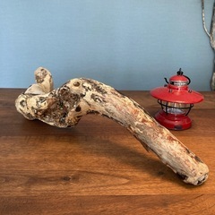 12 濃い派手柄〜〜太　流木、天然物、インテリア、オブジェの画像