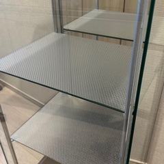 不二貿易 コレクションケース 強化ガラス 背面ミラーの画像