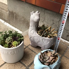 取引が決まりました！ありがとうございました！の画像