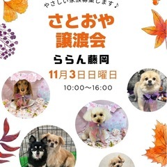 11月3日日曜日ららん藤岡