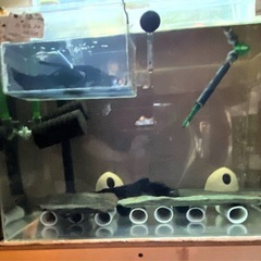 60ワイド  2セット　60×45×45の画像