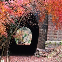 「愛岐トンネル群 秋の特別公開」 美しい紅葉をご一緒に見に行きましょう - 名古屋市