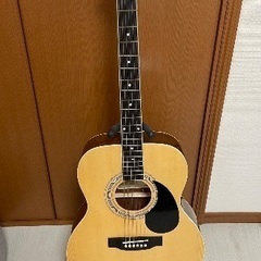 商談中  初心者向け ギター アコギ アコースティック サクラ楽器