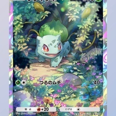 ポケポケ始めた方とお話しできたら嬉しいです。pokemon tcg pocket - 福井市