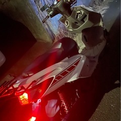 シグナス2型の画像