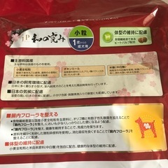 訳あり処分価格‼️ドッグフード合計4.8kgの画像