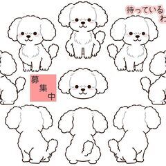 愛犬を連れて、お散歩できる主婦の方、連絡待ってまーす - 国分寺市