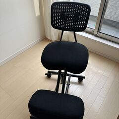 バランスチェア（ガス圧昇降・背もたれ・テレワーク・リモートワーク...
