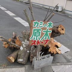 　カシの木　焚き木の原木　
