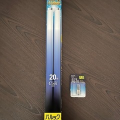 蛍光灯　20型　2本セット　+点灯管