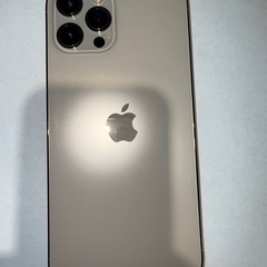 iPhone12 pro max 128GB