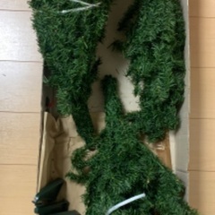 クリスマスツリーの画像