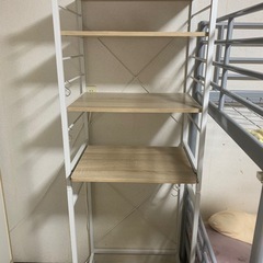 新古シェルフ0円‼️ 