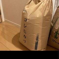 玄米10キロ