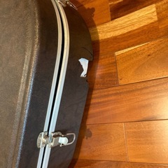 Takamine アーコスティックギターの画像