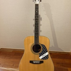 Takamine アーコスティックギターの画像