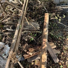 木材の端材、枝などさしあげます