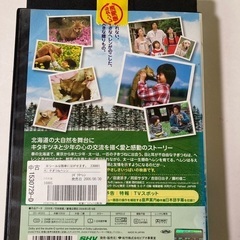 DVD 2枚　こぎつねヘレンと他の画像