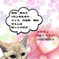 いくらくんのずっとのおうち探してます💫