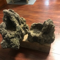 アクアリウム　　植草石2個　バラ売り可能