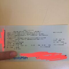 11/9/2024 川口花火大会　B-3