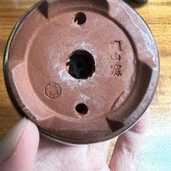 鉢⑥の画像